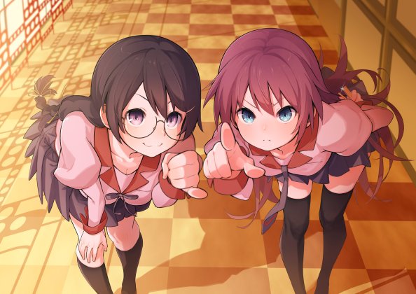 Anime Monogatari Series Hitagi Senjogahara Tsubasa Hanekawa