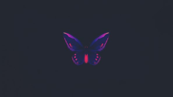 Butterfly Minimal 4k
