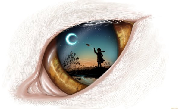 Dream In Eye