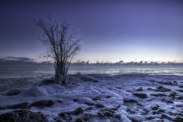 Frozen Winter Snow Landscape