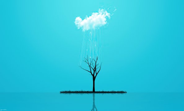 Minimal Nature Tree 4k