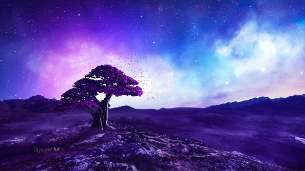 Purple Tree Stories