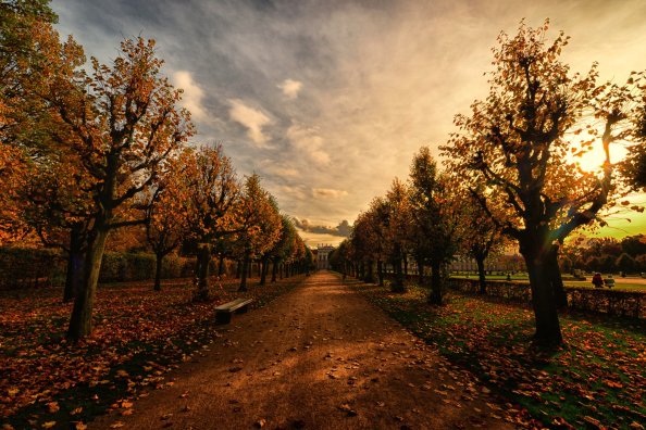 Autumn Trees Path