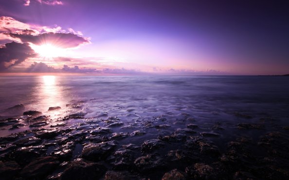 Purple Seascape