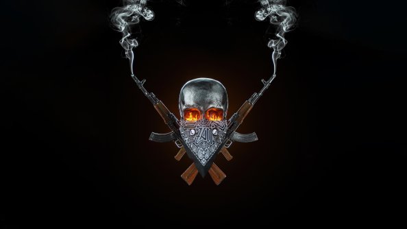 Skull And Guns
