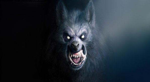 Werewolf 4k