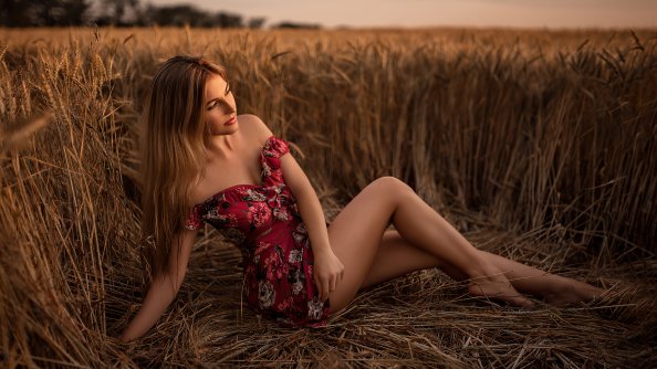 Women Long Hair Brunette Sitting Field 4k