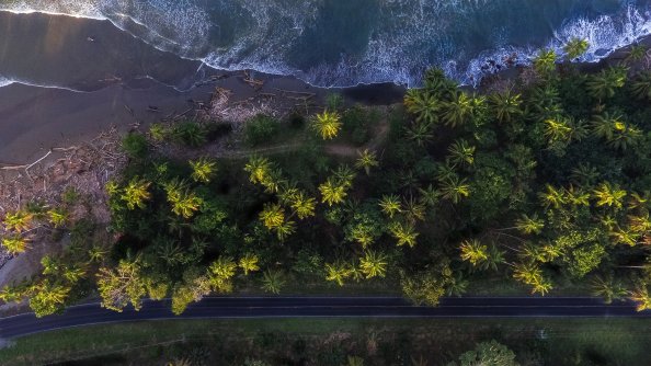 Aerial Shot Of Trees 4k