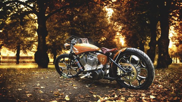 Harley Davidson Motorcycle