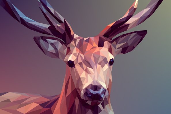 Deer Polygon Art 8k