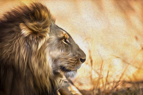 Lion Art