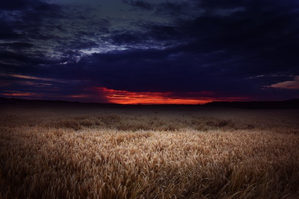 Dark Field Covered By Clouds Sunset 5k
