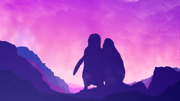 Penguins In The Night Minimal 4k