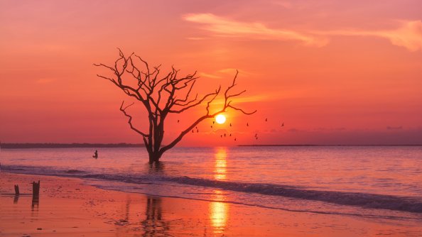 Trees Sunset Birds Water Body 4k