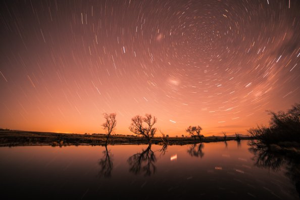 Startrail Longexposure Trees Cool