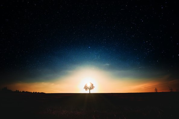 Tree Dark Landscape 5k