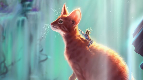 Cat Rider 4k