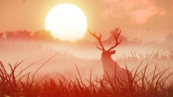 Ghost Of Tsuhiuma In Wild 4k