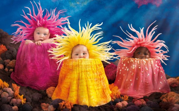 Babies Cute