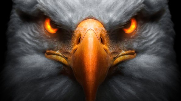 Eagle Red Glowing Eyes
