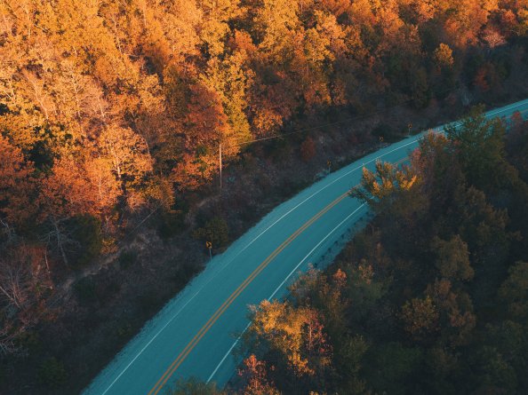 Road Fall Trees Nature 5k