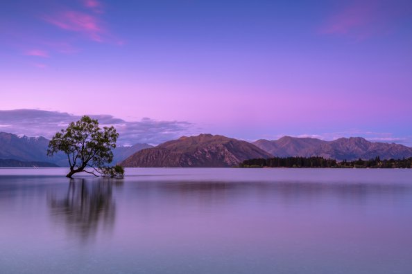 Alone Tree In Lake 5k