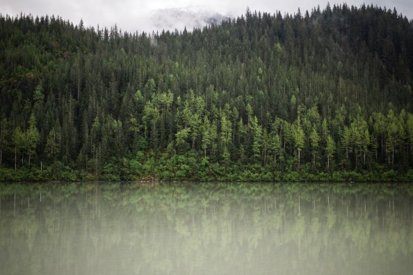 Trees Water Nature Clouds 5k