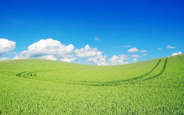 Green Landscape Beautiful