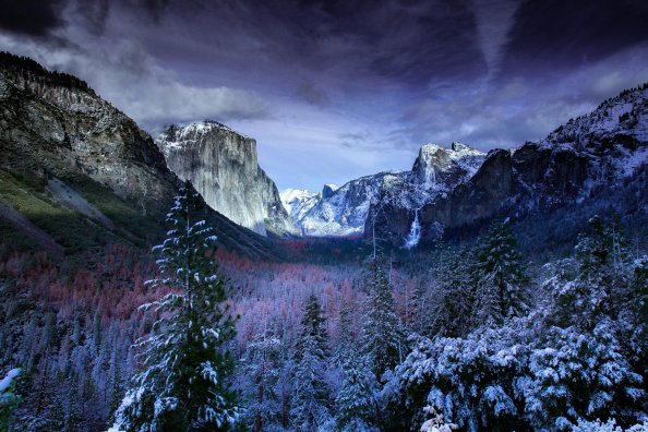 Winter Trees Mountains 5k