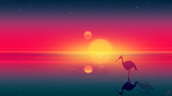 Flamingo Digital Art