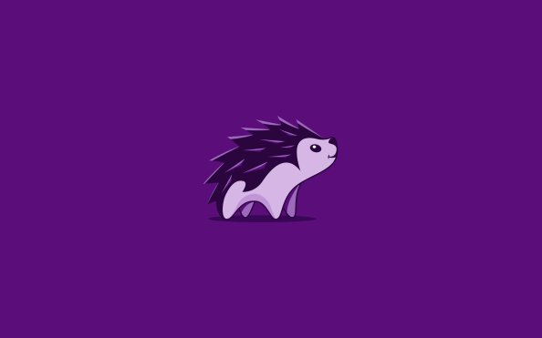 Hedgehog Minimal 4k