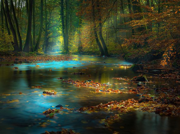 River Sunbeam Autumn 4k