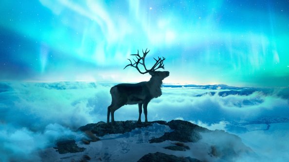 Reindeer Fantasy Art