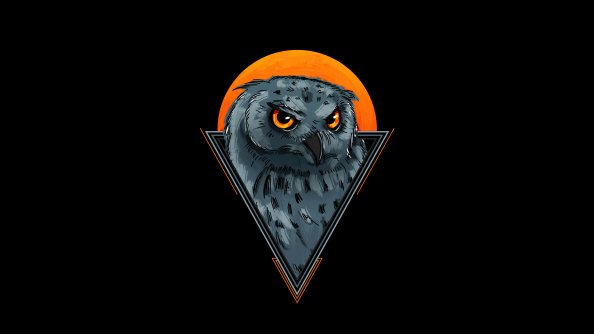 Owl Minimal 4k