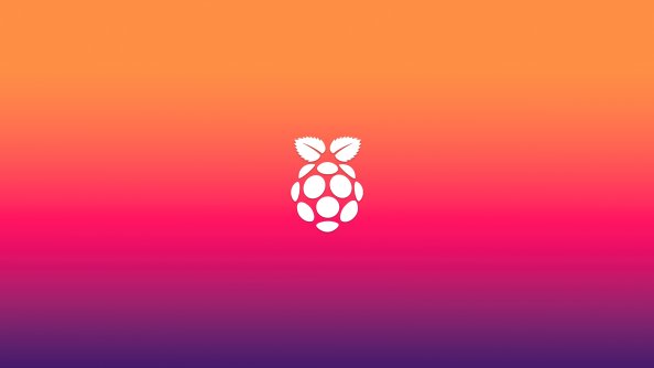 Raspberry Pi Logo Minimal 5k