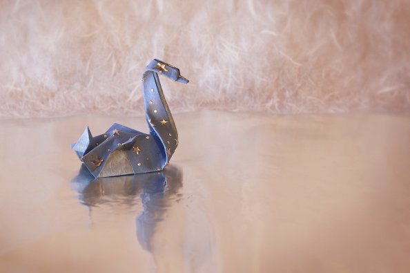 Swan Origami