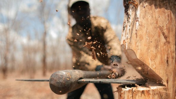 Chopping Trees With Axe