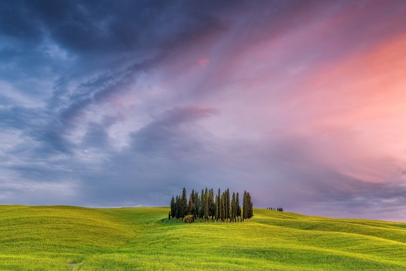 Tuscany Field In Italy
