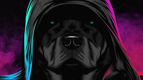 Black Dog Glowing Eyes 4k