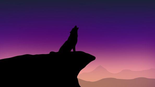 Howling Wolf Minimalism 4k