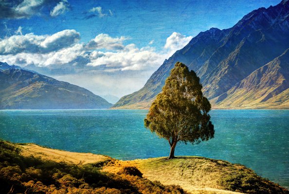 Tree Mountain Glacial Lake 4k