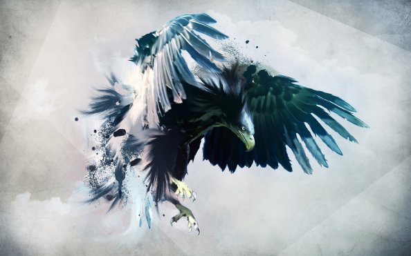 Eagle Art