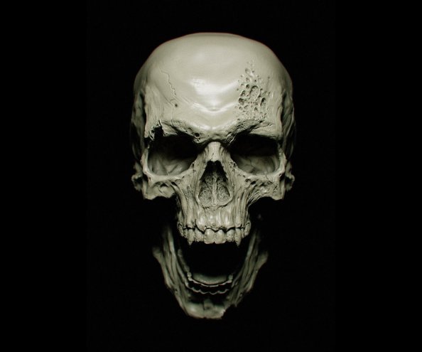 Skull
