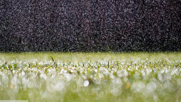 RainDrops On Grass