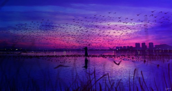 Sky Is The Stage And Birds Sing