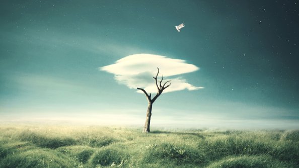 Cloud Tree