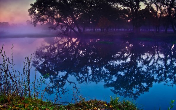 Lagoon Sebastopol