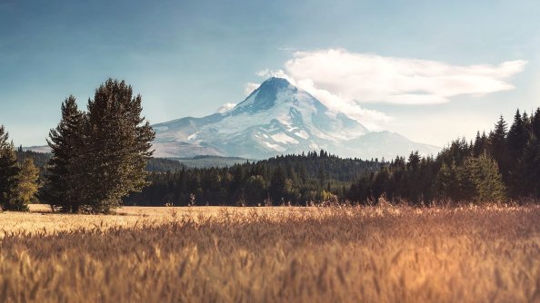 Landscape Mountain