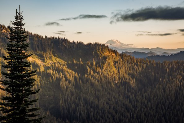 Mt Adams View From The Distance