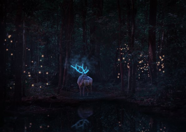 Magical Reindeer In Forest